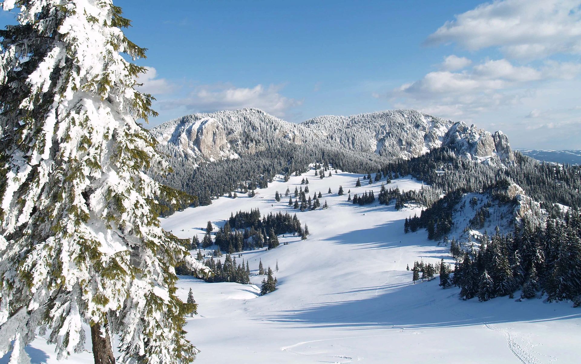 Berglandschap met met sneeuw bedekte bomen onder blauwe lucht