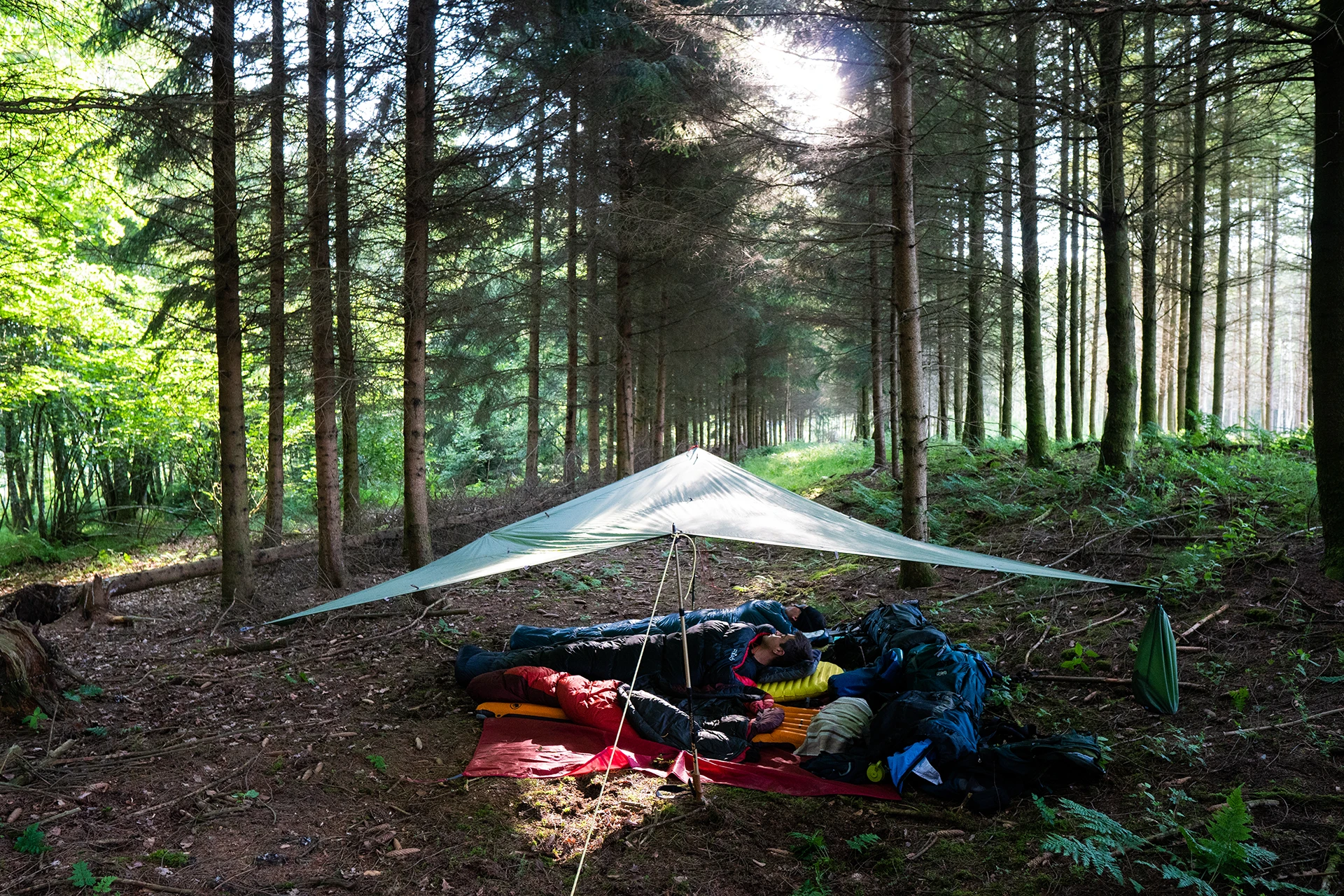 Tarp shelter opgezet in een open bos