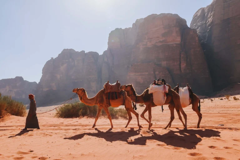 Jordanië Camels & Bedouins