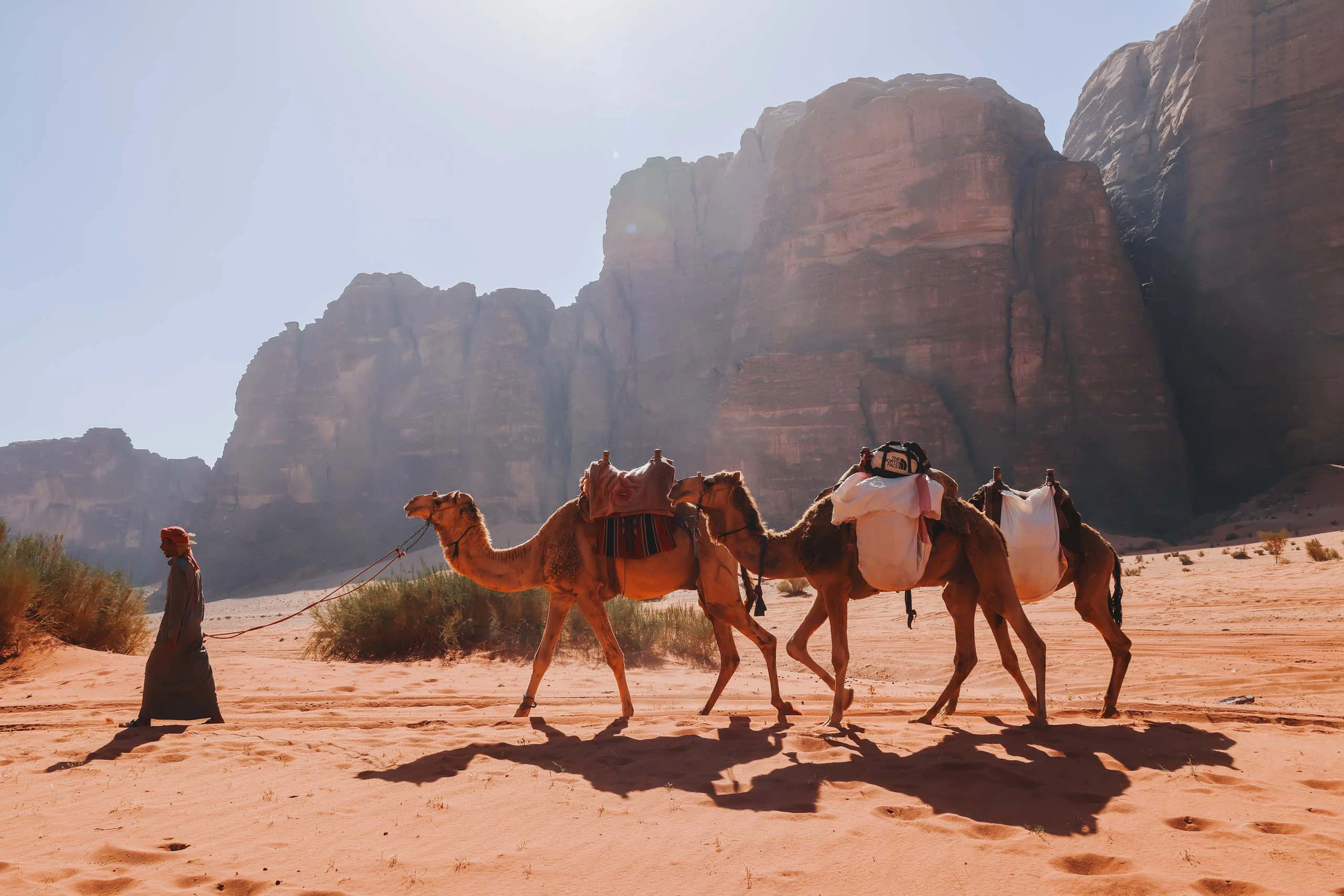 Jordanië Camels & Bedouins