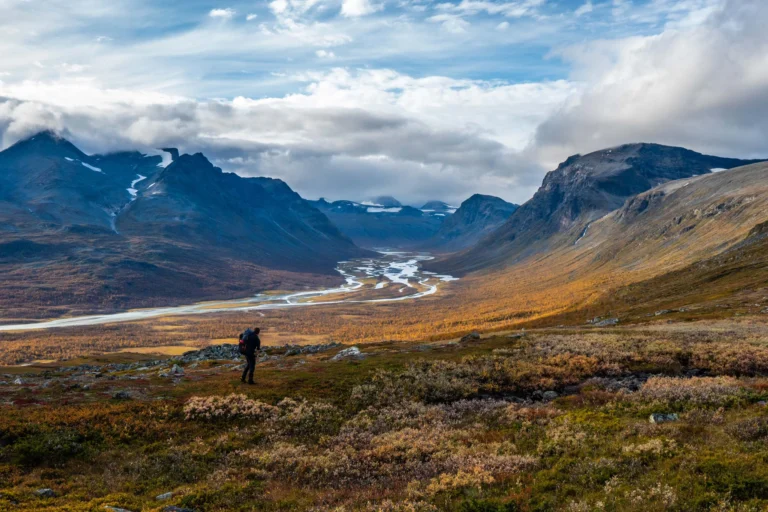 Leadership Wild Reset Lapland Zweden