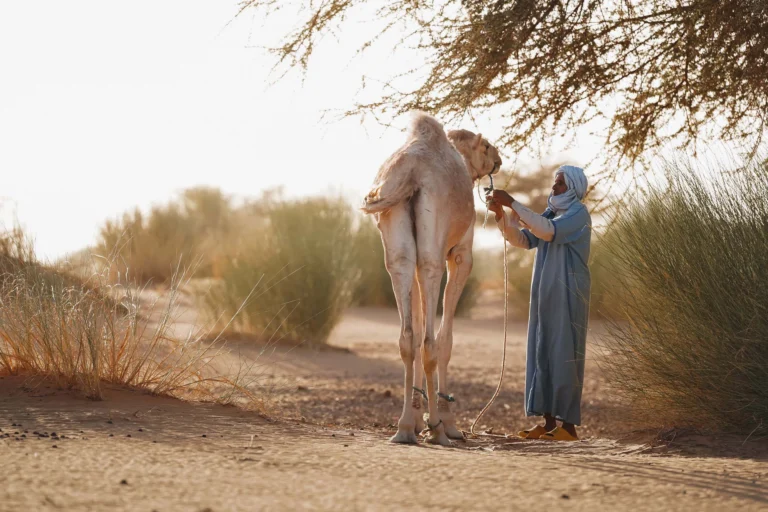 Sahara Traverse Mauritanië