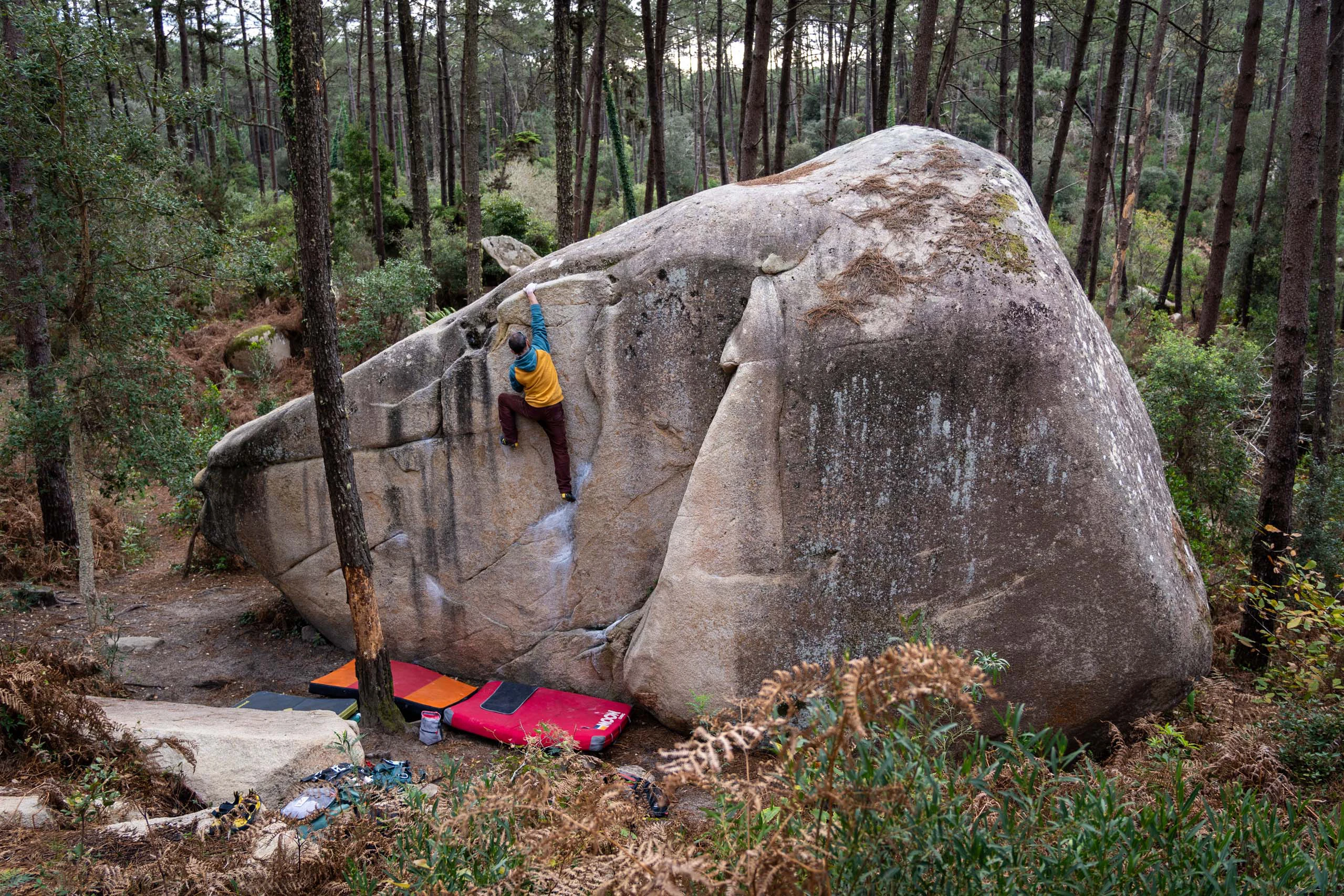 Klimmer die een grote boulder beklimt in een dennenbos