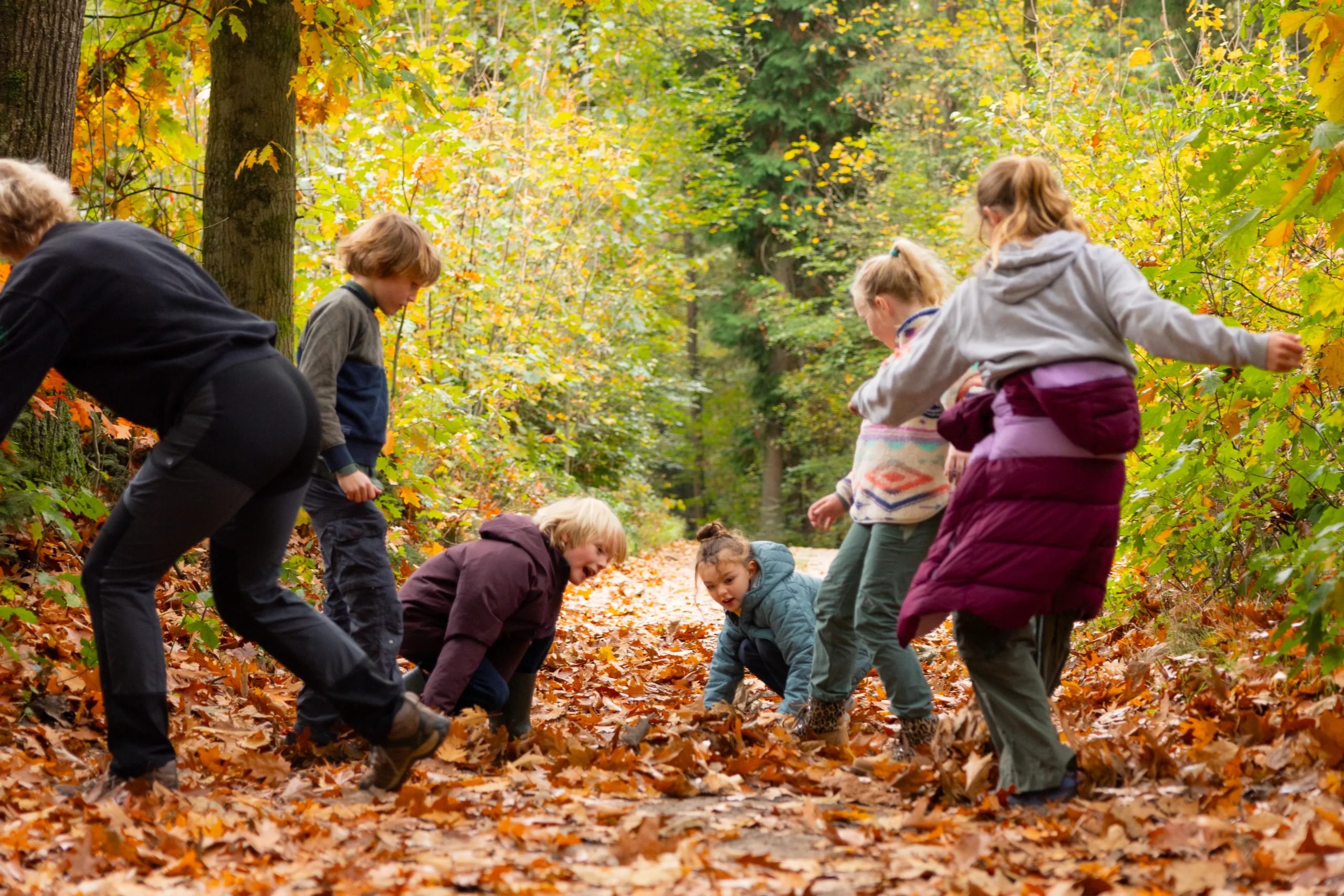 Kinderen die spelen in een bos met herfstbladeren