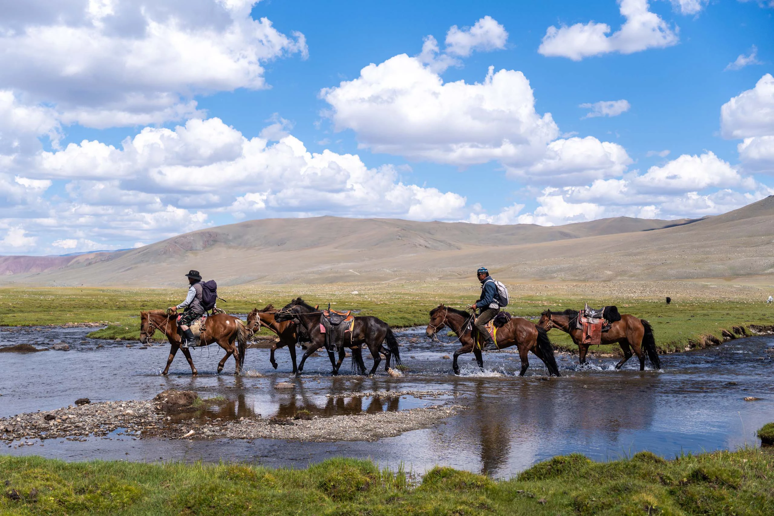 Wild West Mongolia