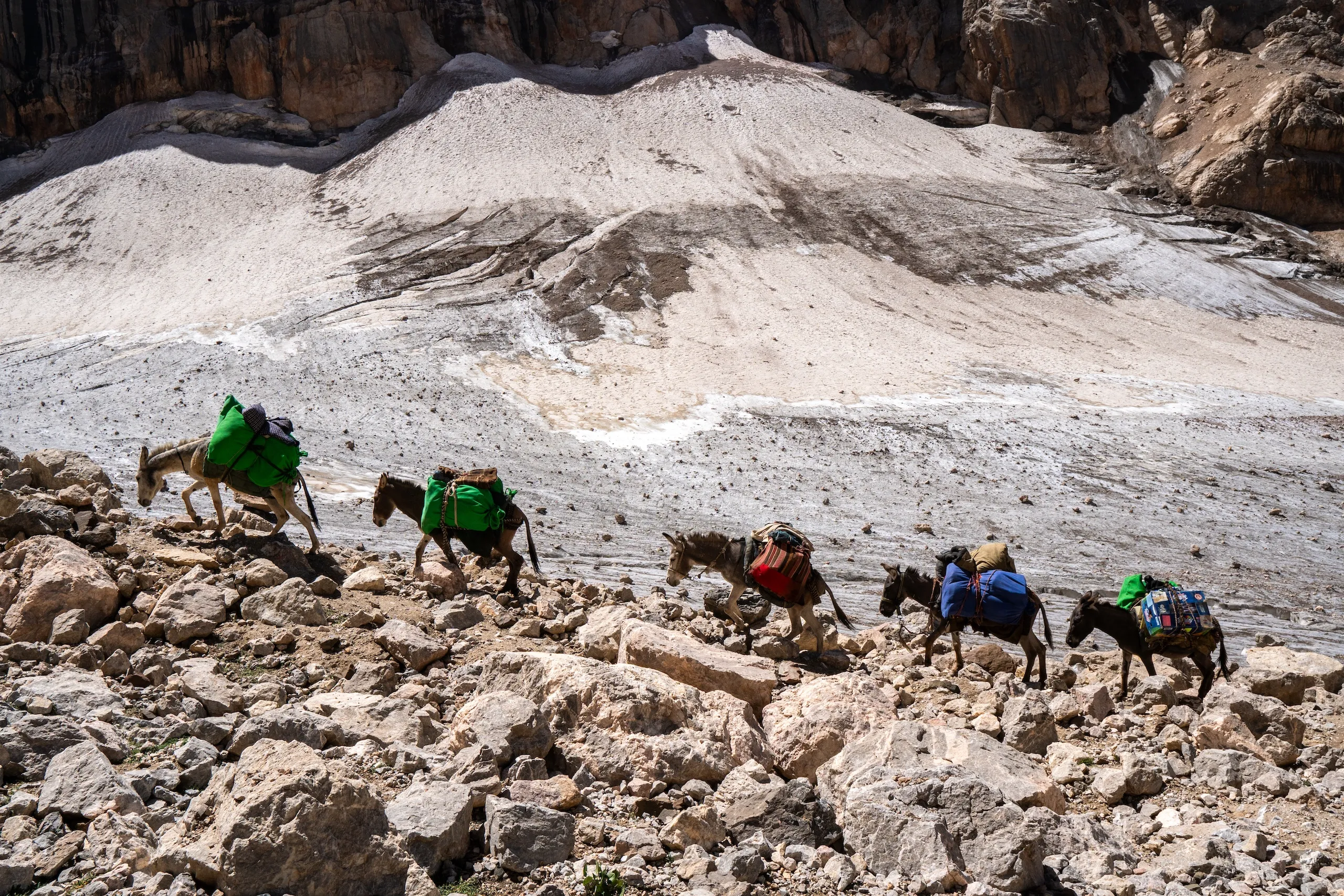 ezels die lopen over rotsen